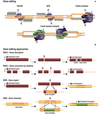 Genome Editing for CNS Disorders